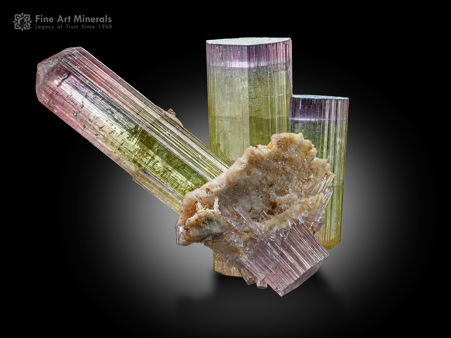Tourmaline with Albite