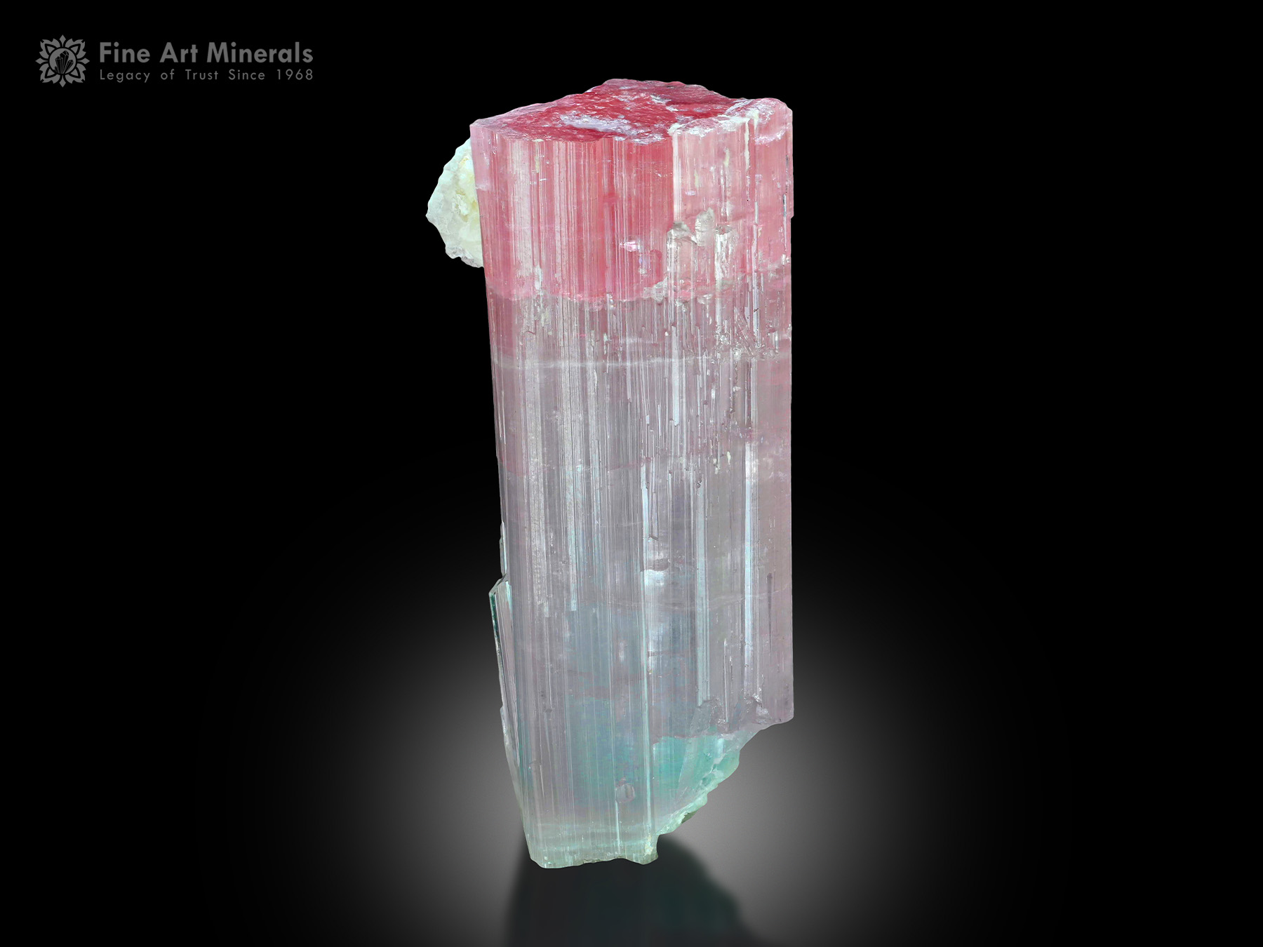 Tourmaline with Albite