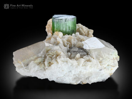 Tourmaline with Quartz and Albite