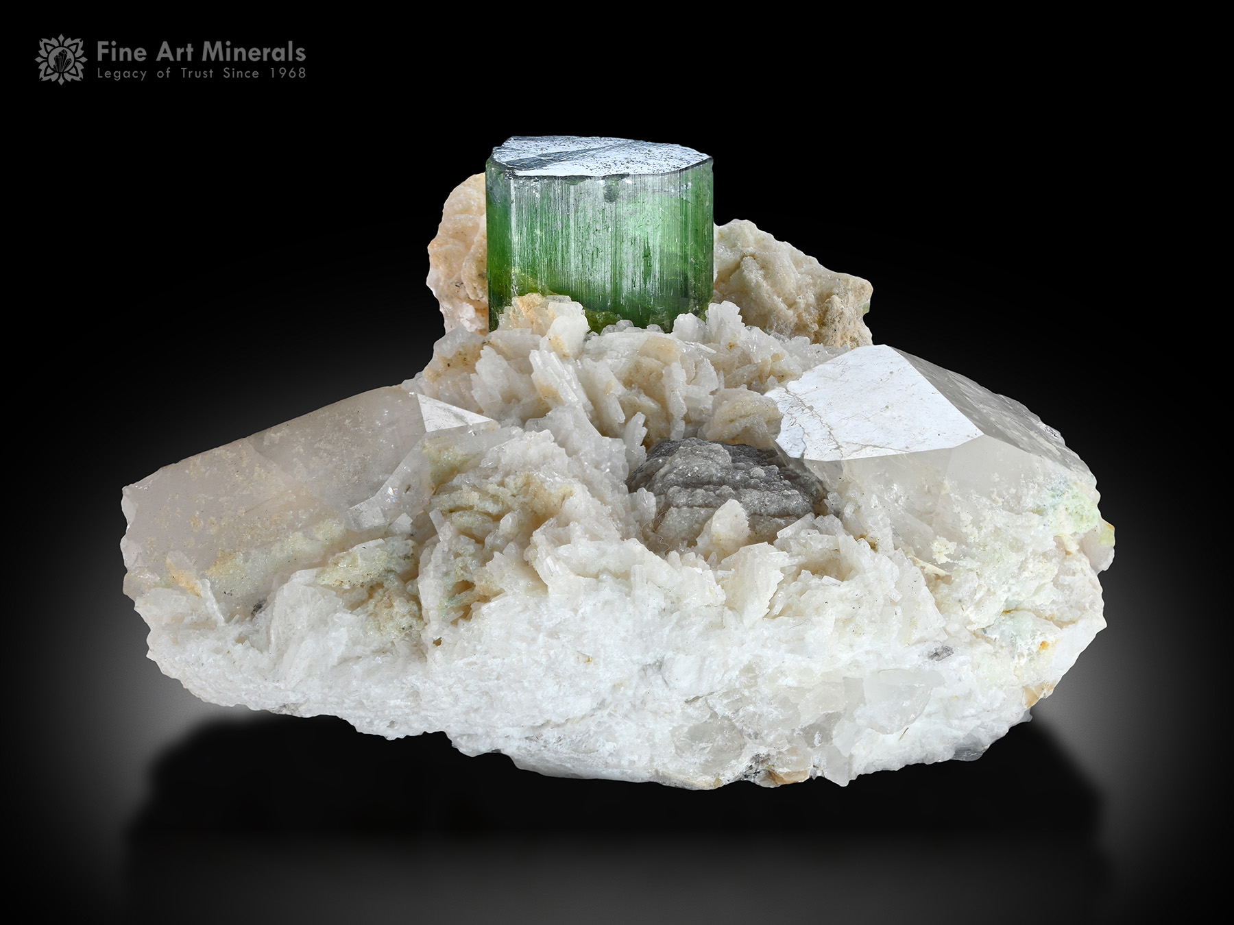 Tourmaline with Quartz and Albite