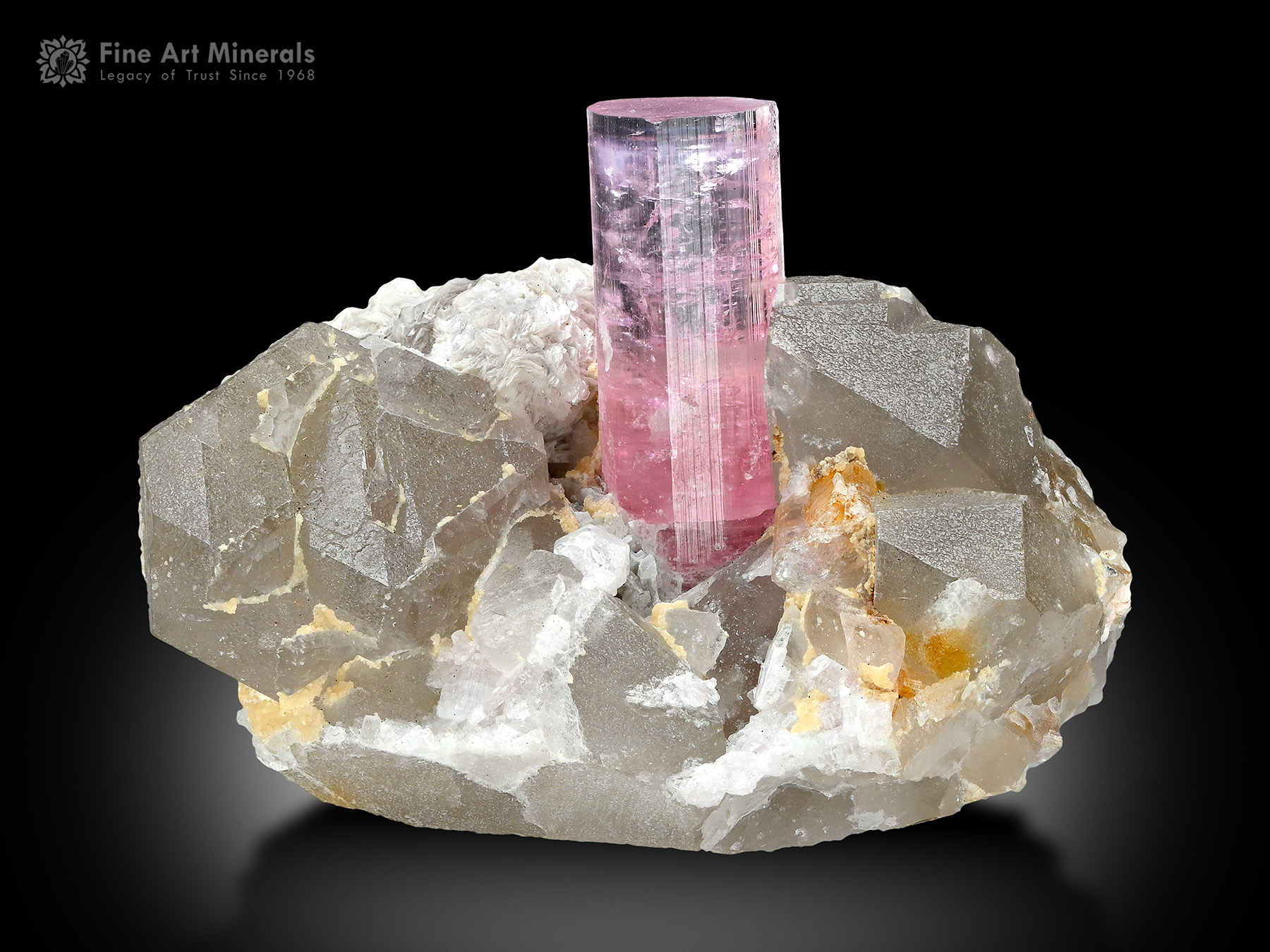 Tourmaline with Quartz and Albite