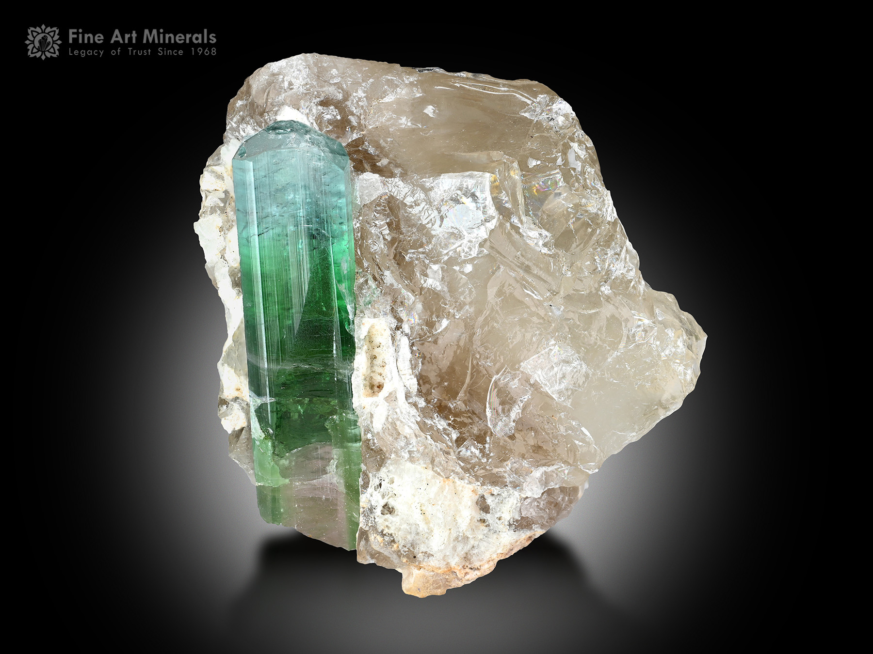 Tourmaline with Quartz from Afghanistan