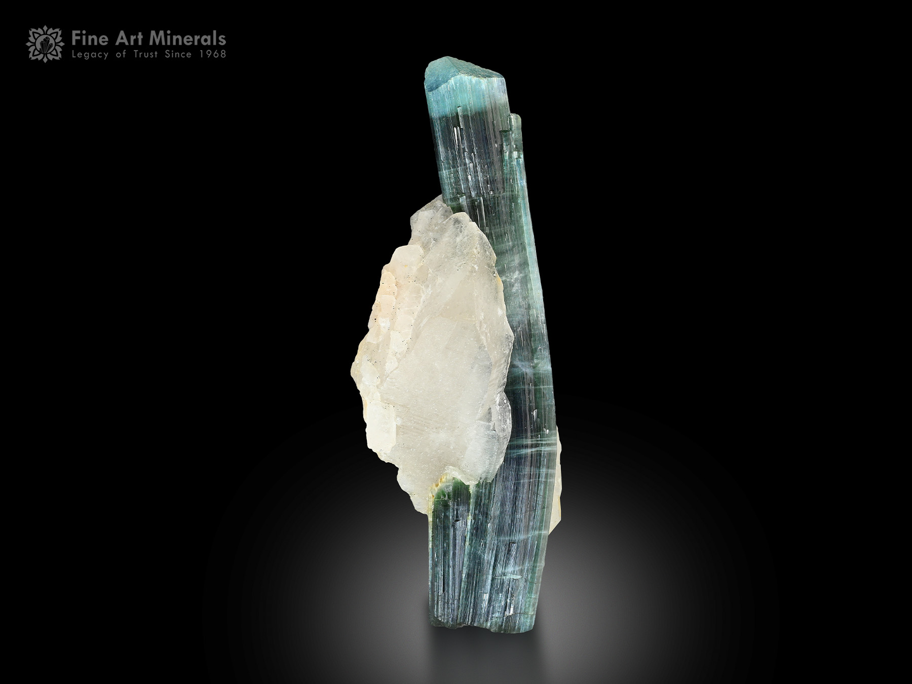 Tourmaline with Quartz from Pakistan