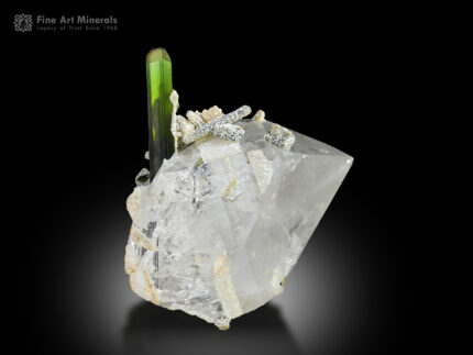 Tourmaline with Quartz