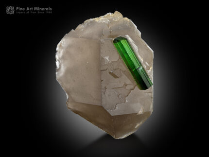 Tourmaline with Quartz