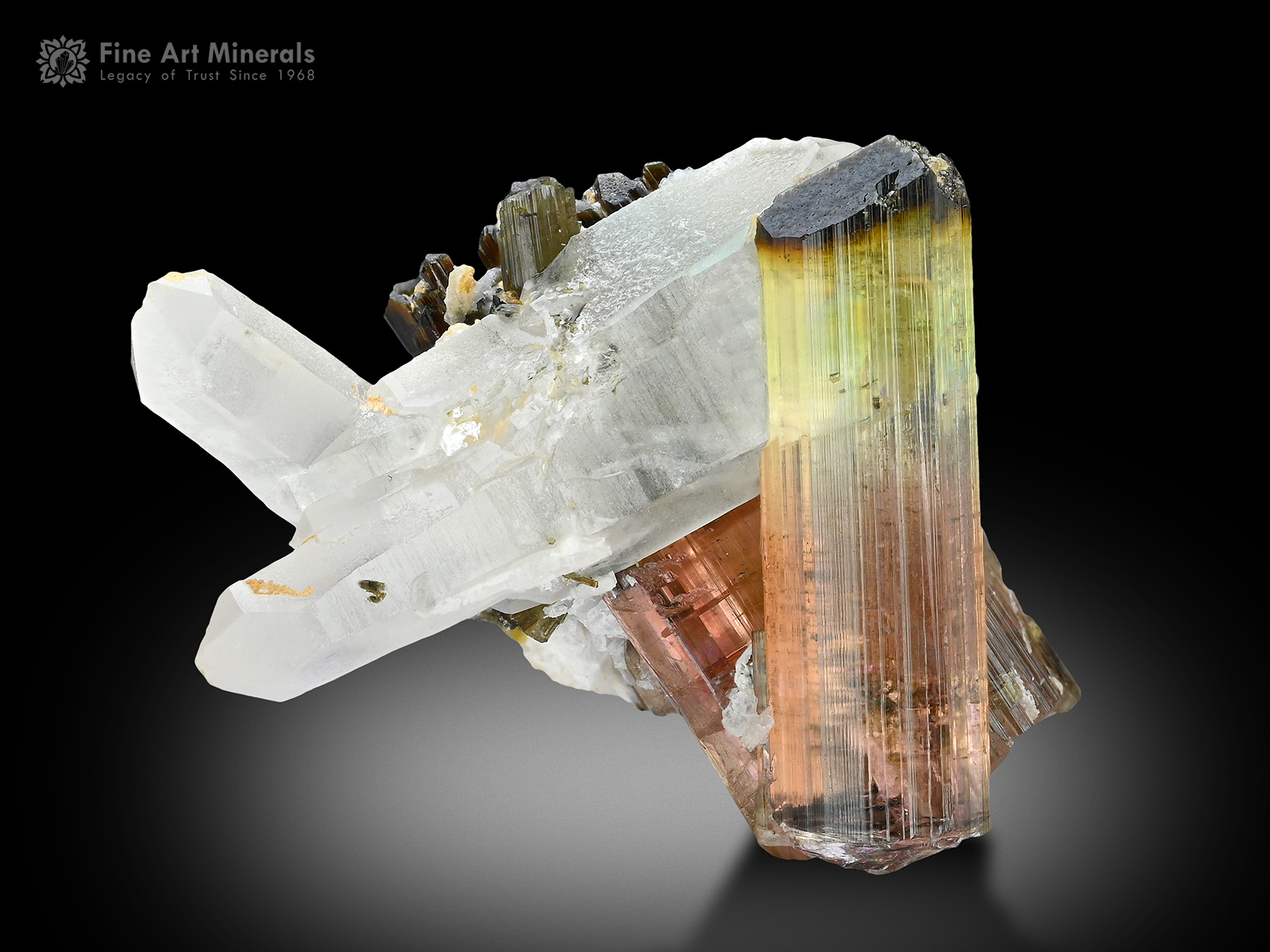 Tourmaline with Quartz
