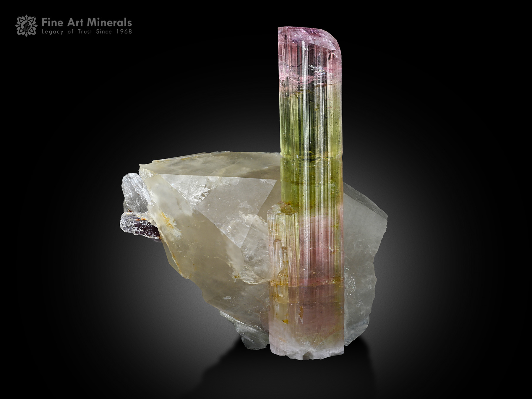Tourmaline with Quartz