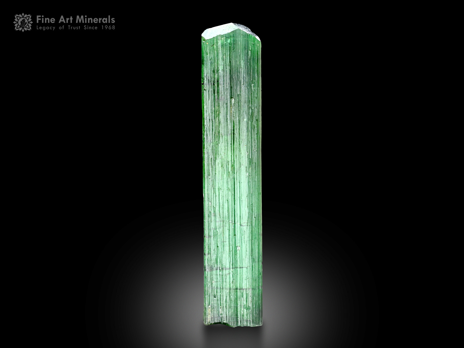 Zoisite Crystal from Pakistan