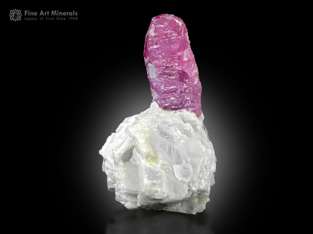 Ruby on Matrix from Pakistan