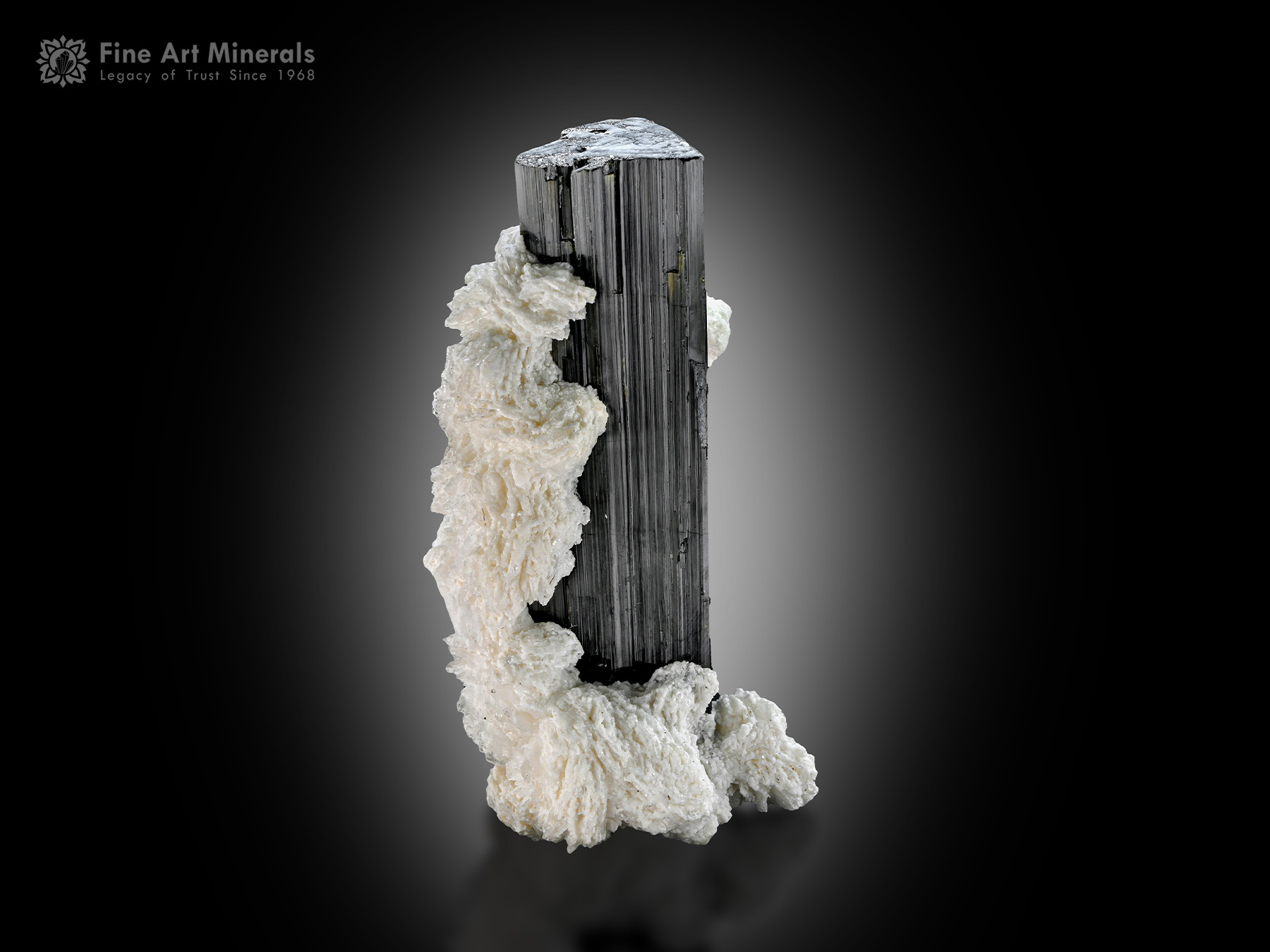 Schorl with Albite from Pakistan