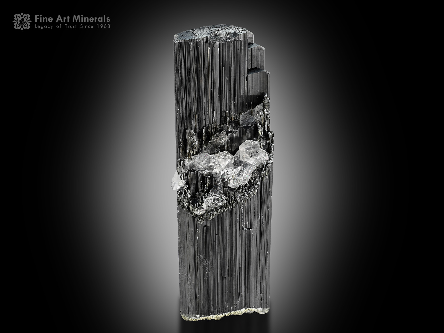 Schorl with Quartz