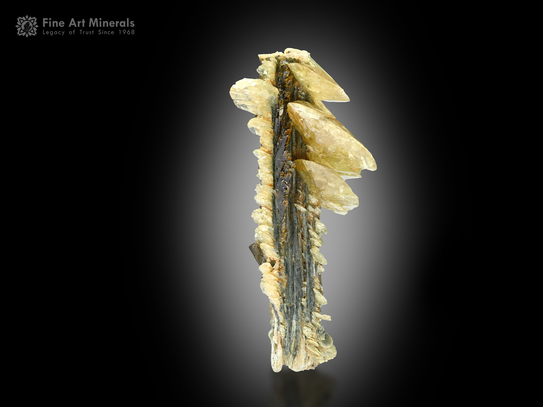 Titanite with Epidote