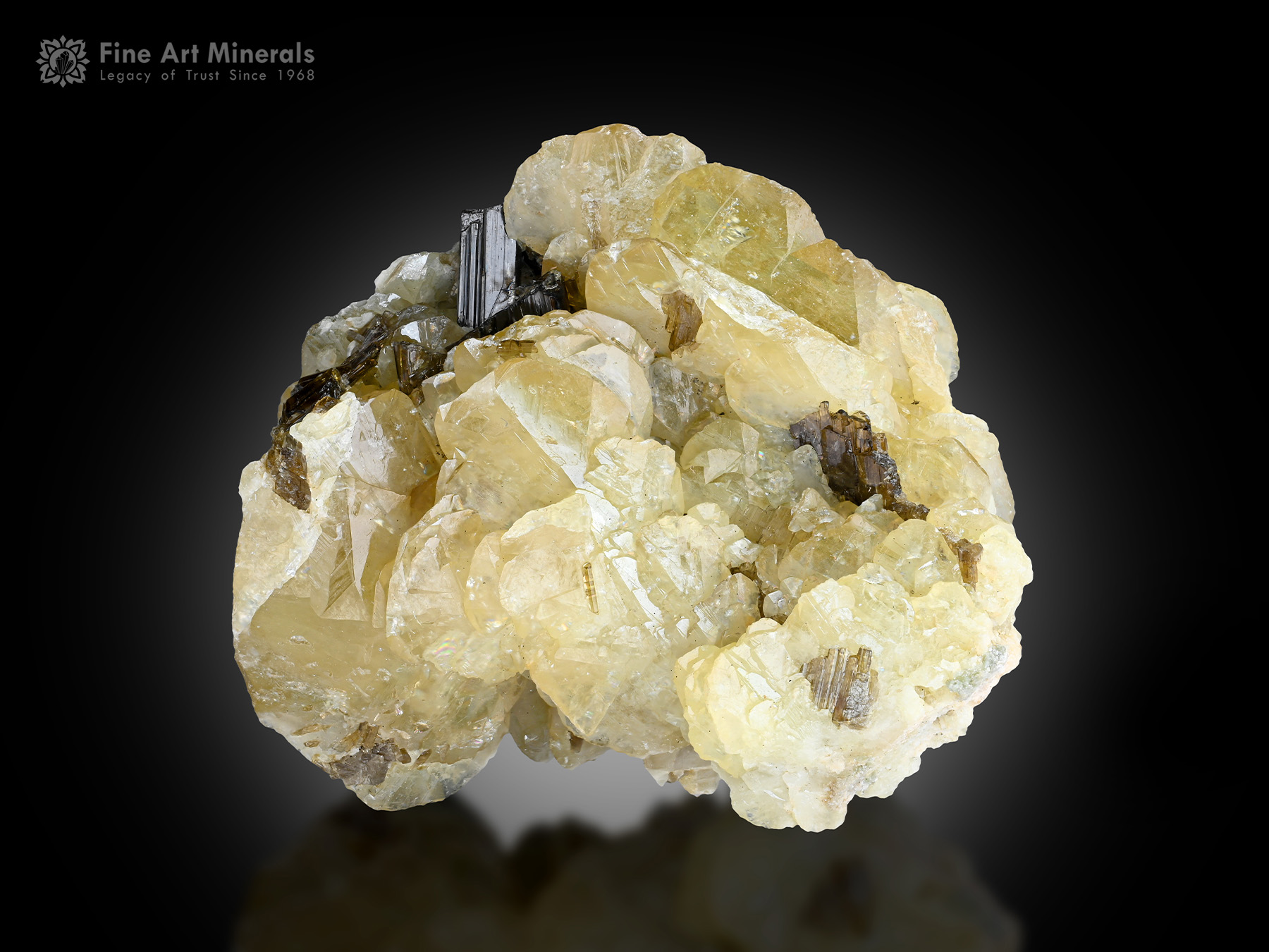 Titanite with Epidote