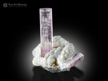 Tourmaline with Albite