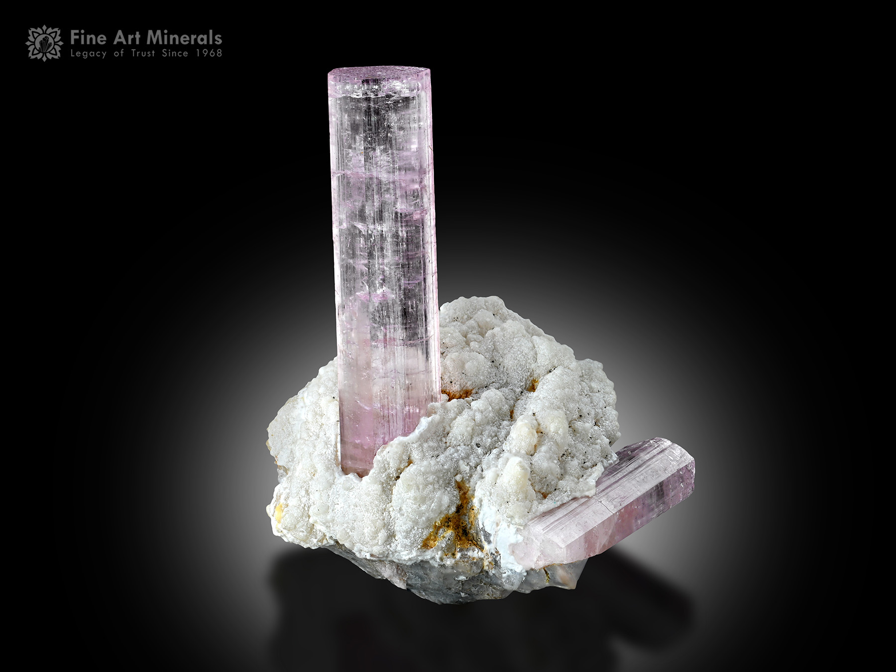 Tourmaline with Albite