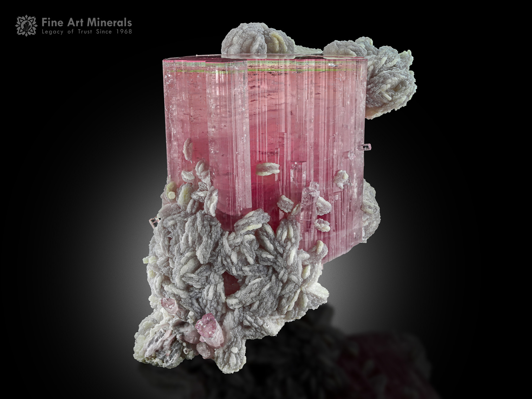 Tourmaline with Albite