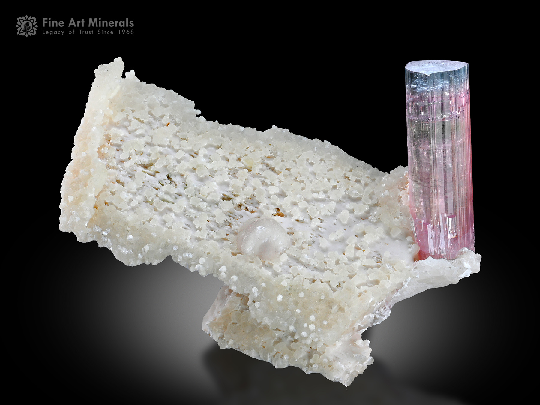 Tourmaline with Albite