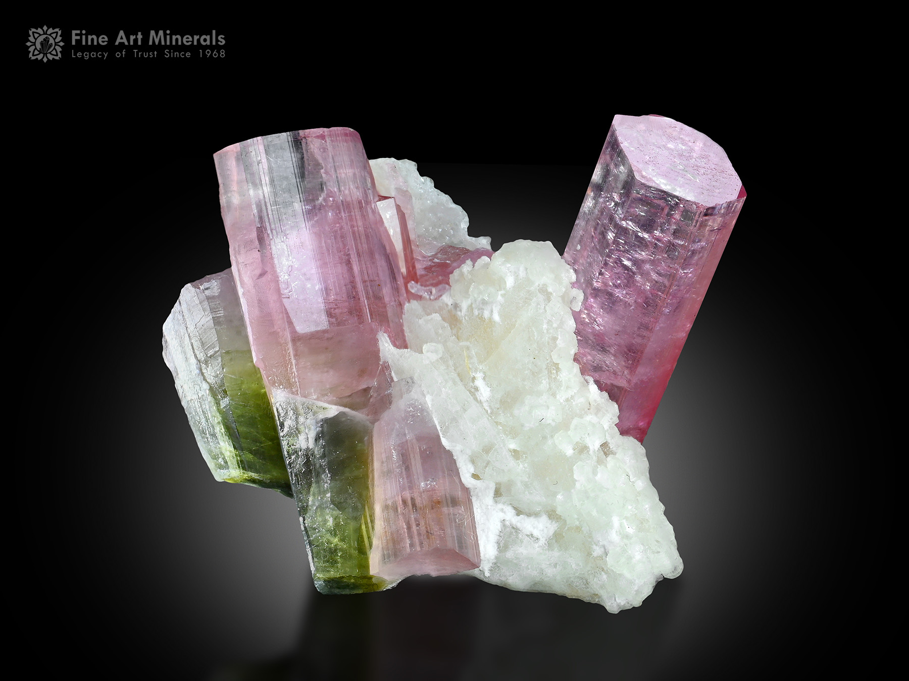 Tourmaline with Albite