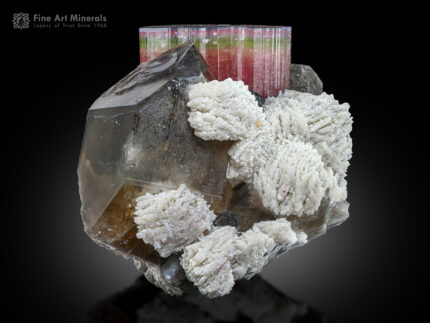 Tourmaline with Quartz and Albite