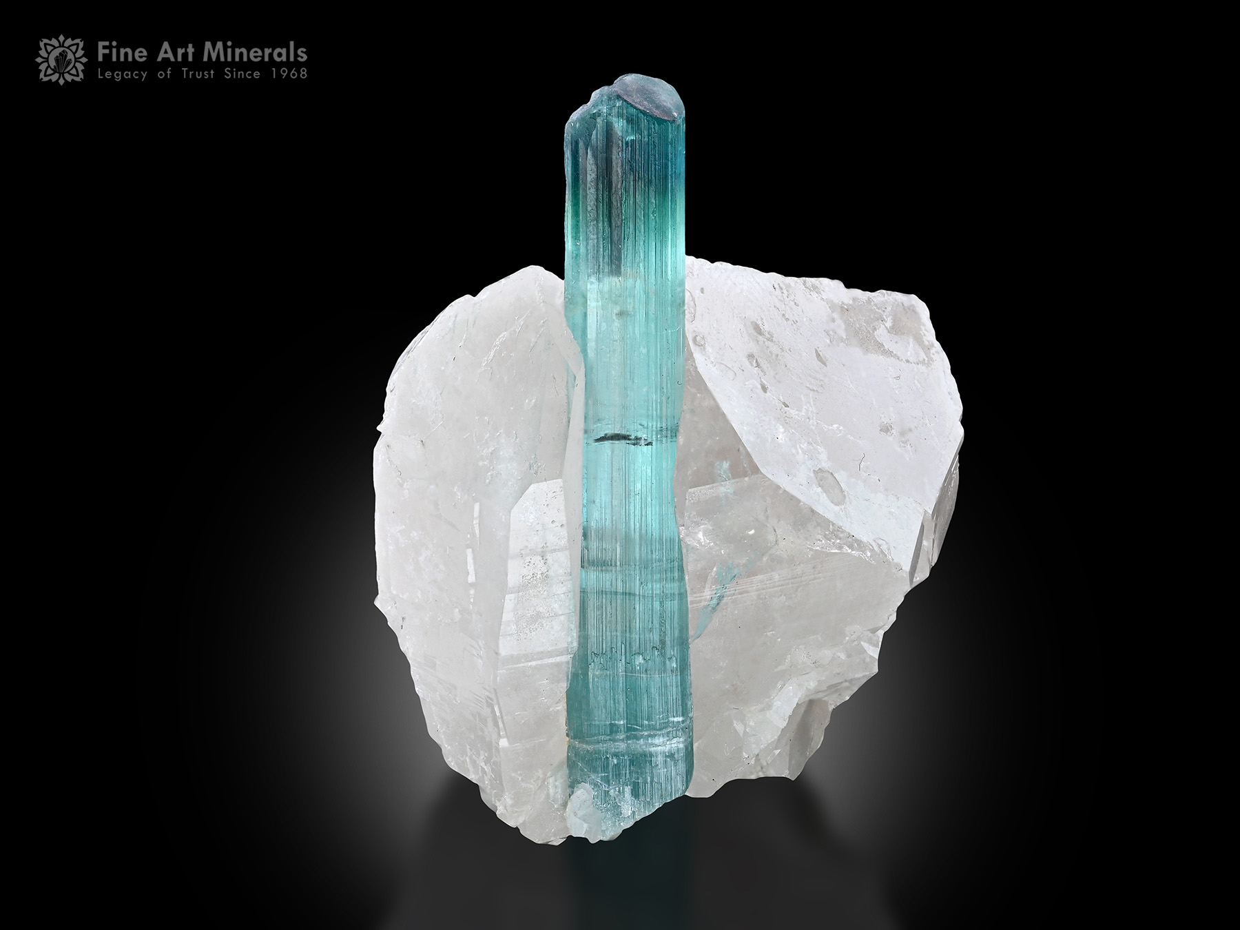 Tourmaline with Quartz from Afghanistan