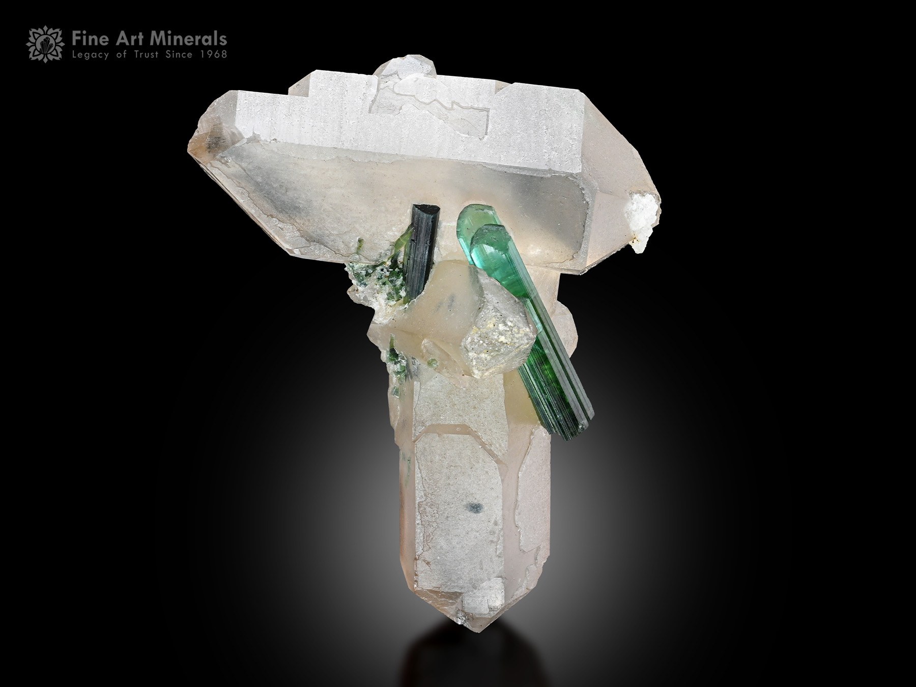 Tourmaline with Quartz