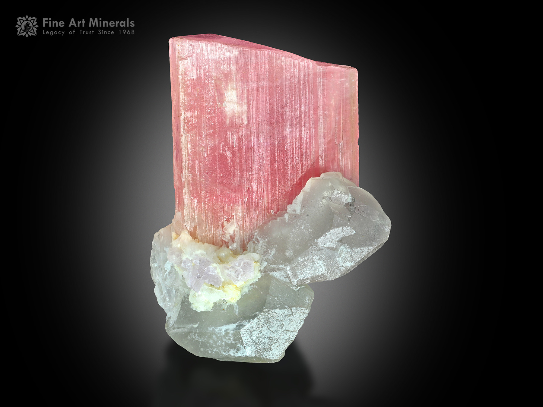 Tourmaline with Quartz