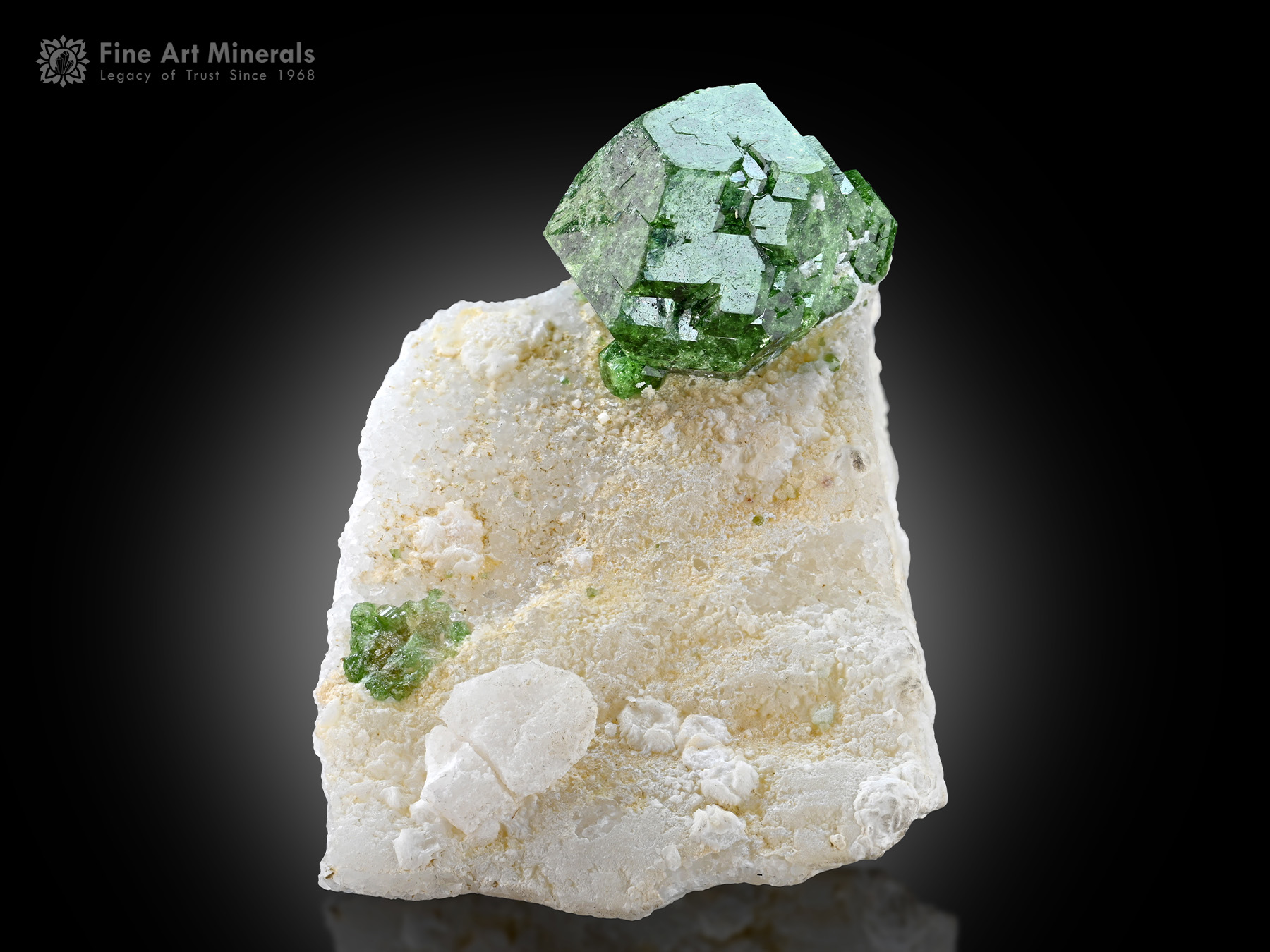 Chromium Dravite with Traces of Vanadium from Pakistan