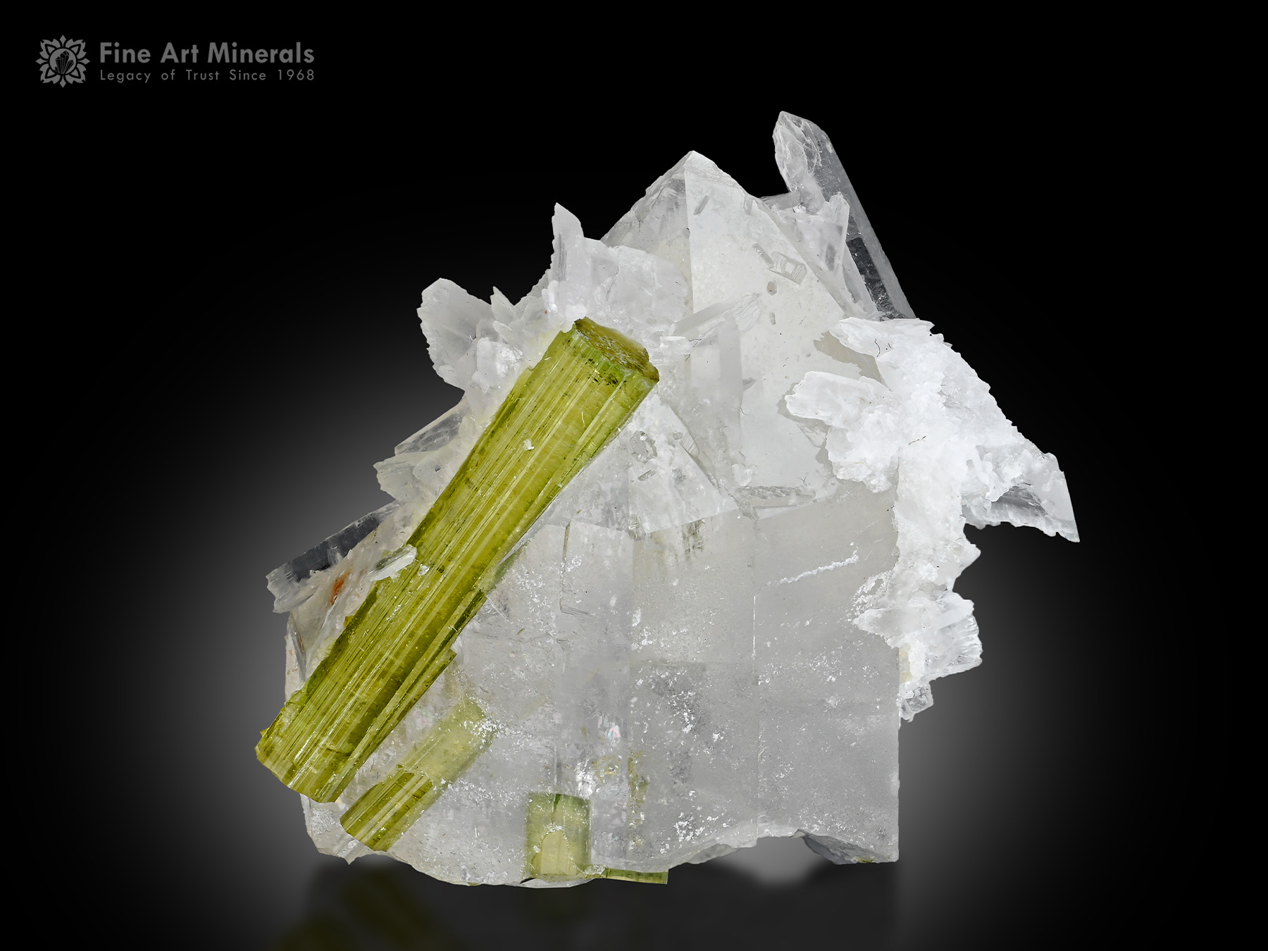 Quartz with Tourmaline and Vitaniemiite from Pakistan