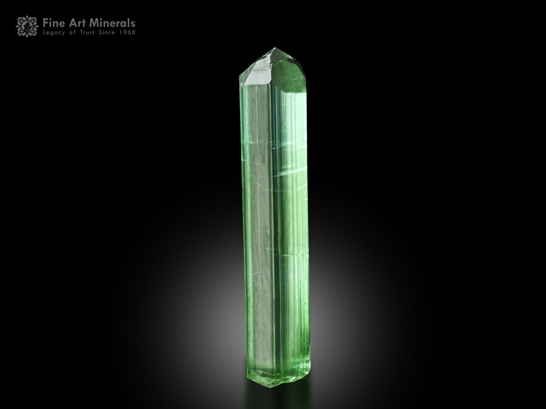 Tourmaline Crystal from Afghanistan