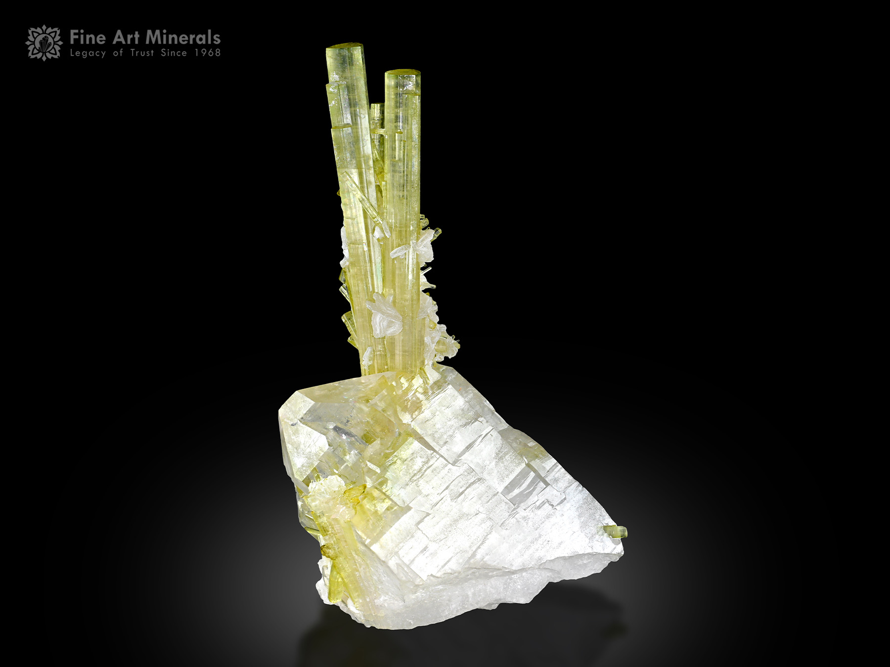 Tourmaline with Quartz