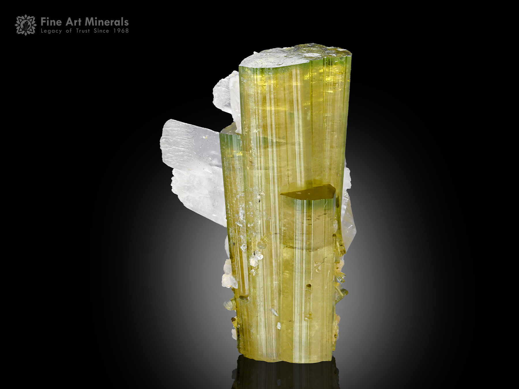 Tourmaline with Vitaniemiite