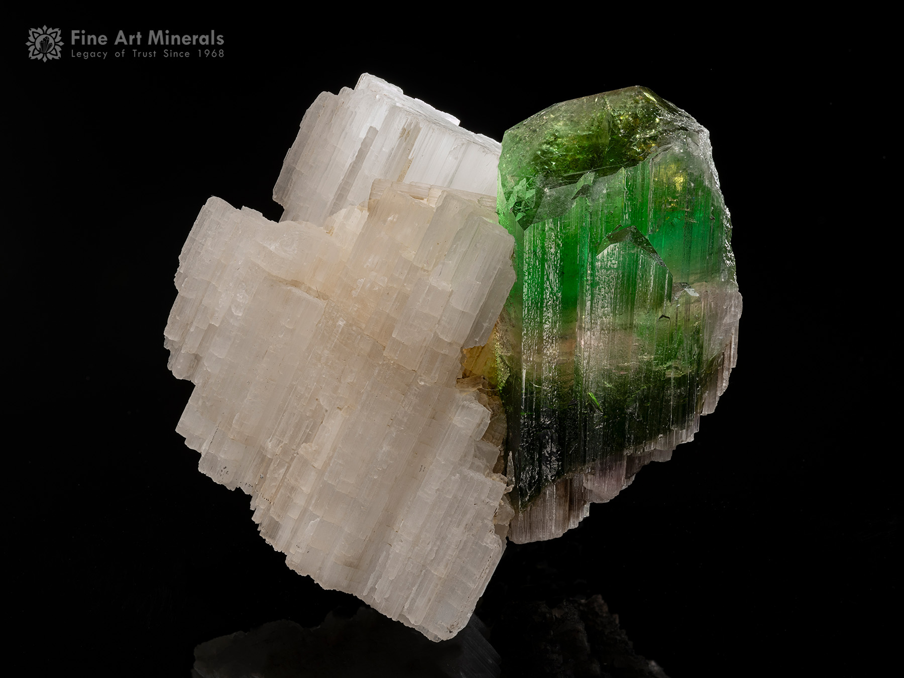 A beautiful combination of Tourmaline with Beryllonite from Afghanistan