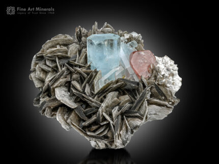 Aquamarine in association with pink Apatite, Muscovite, and Albite.