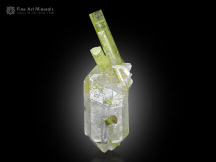 Quartz with Tourmaline from Pakistan