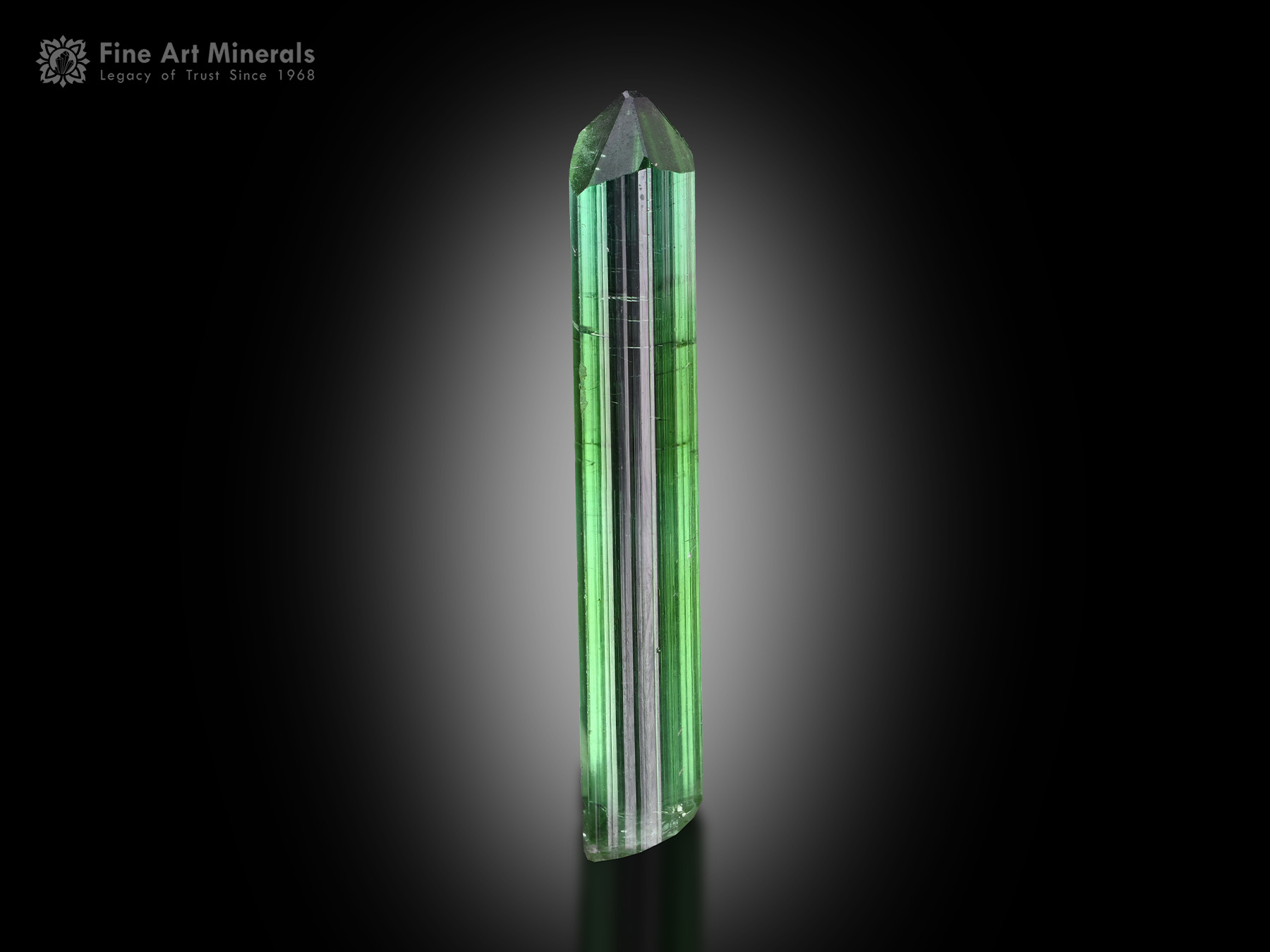 Tourmaline Crystal from Afghanistan