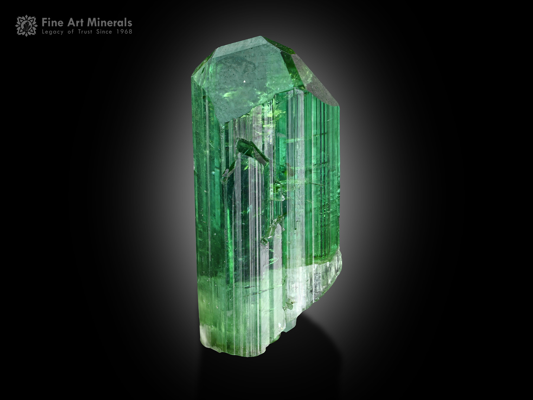 Tourmaline Crystal from Afghanistan