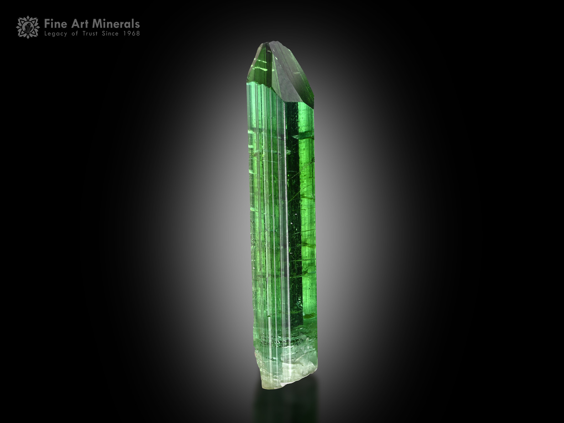 Tourmaline Crystal from Afghanistan