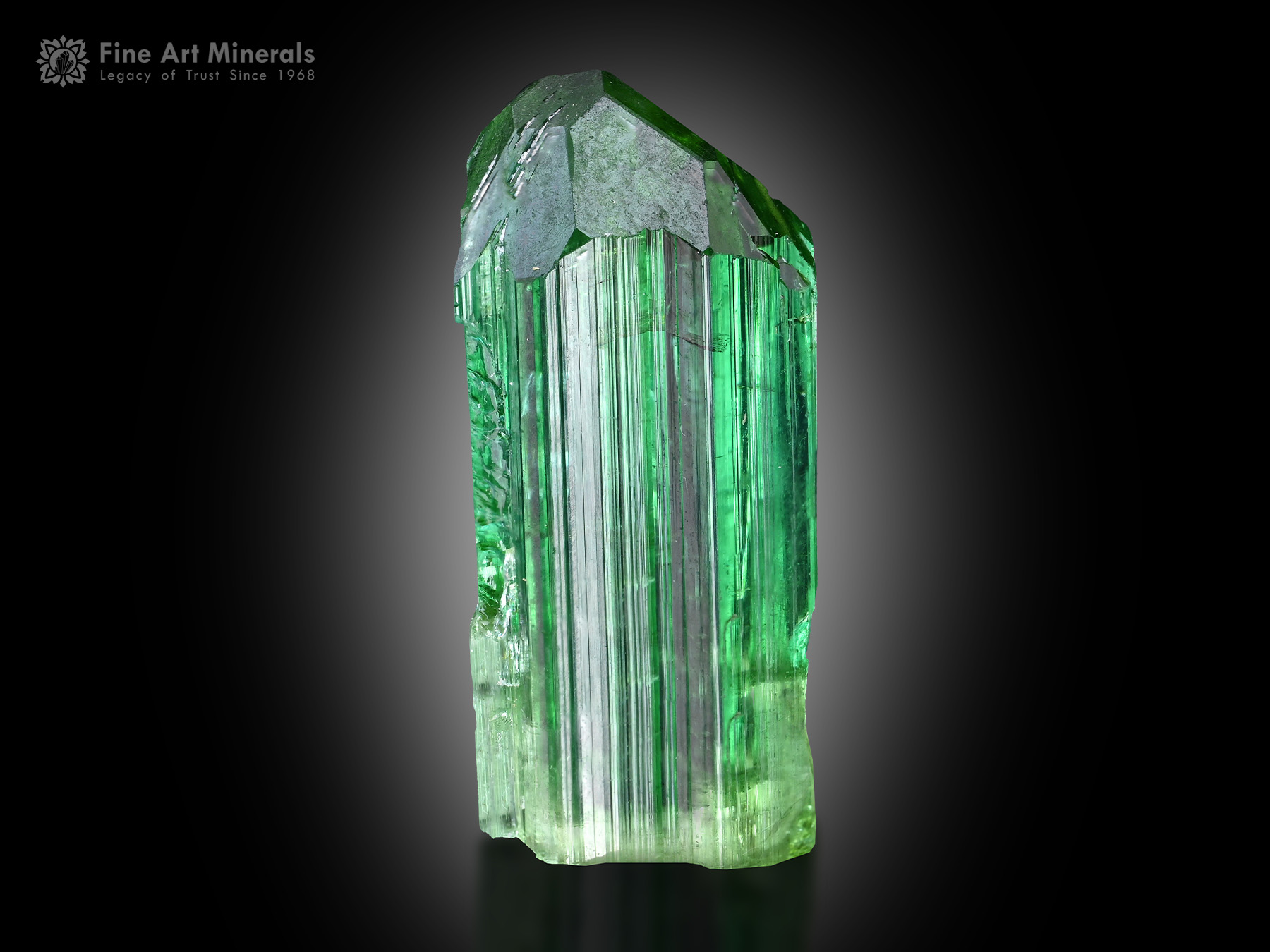 Tourmaline Crystal from Afghanistan