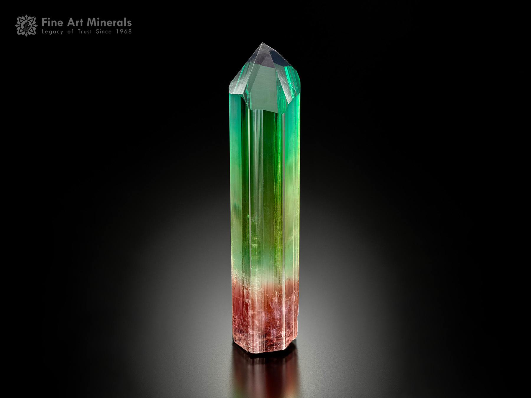 Tourmaline Crystal from Congo