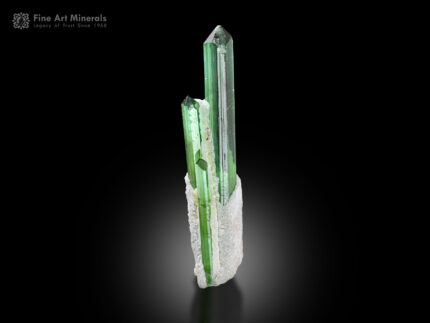 Tourmaline with Albite from Afghanistan