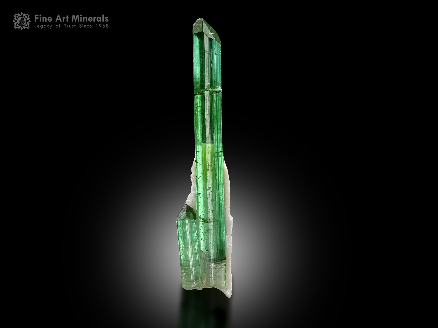 Tourmaline with Albite from Afghanistan
