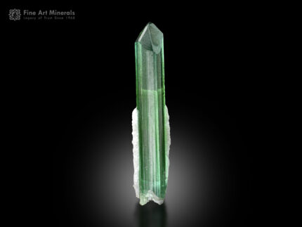 Tourmaline with Apatite from Afghanistan