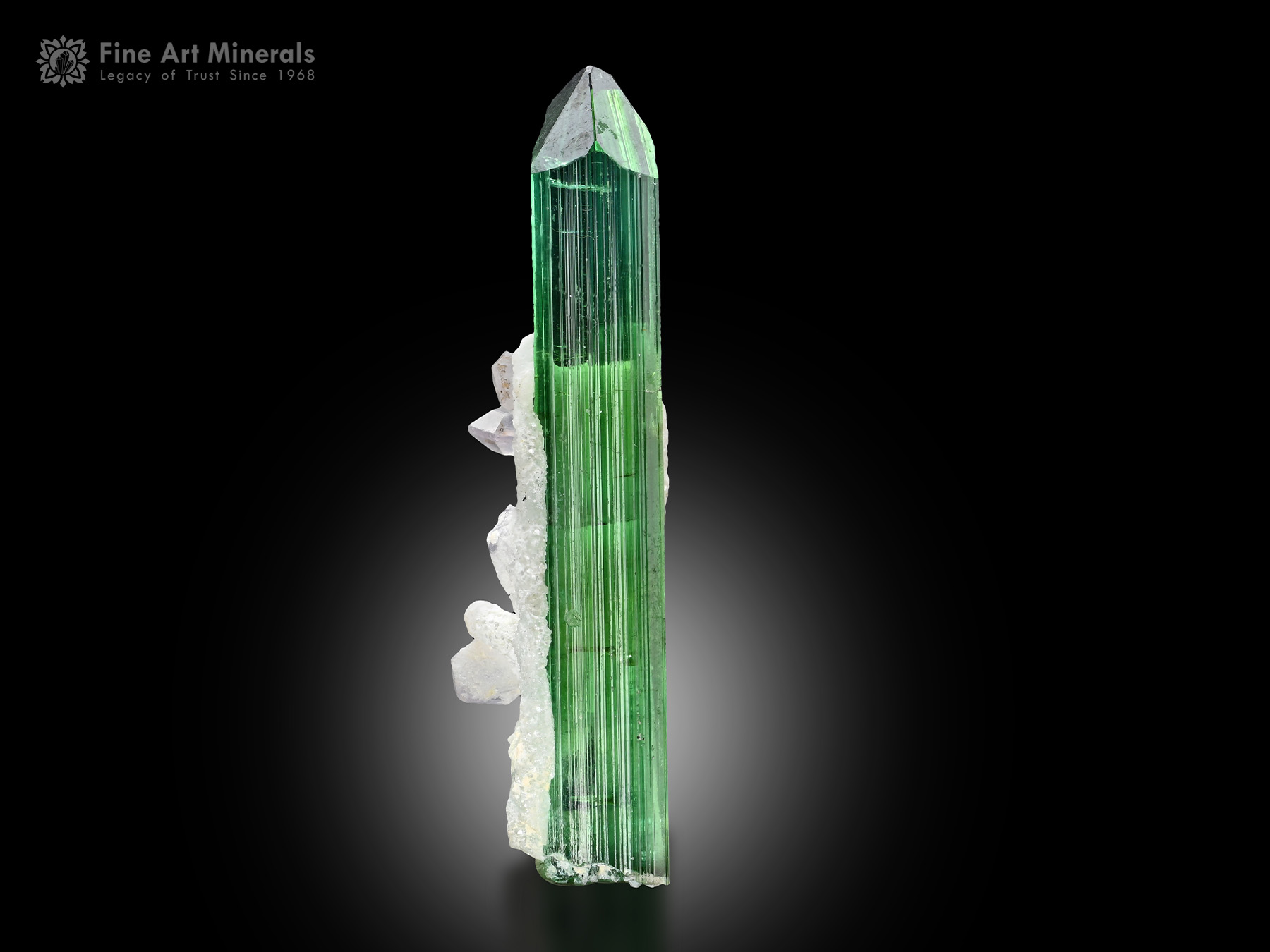 Tourmaline with Apatite from Afghanistan