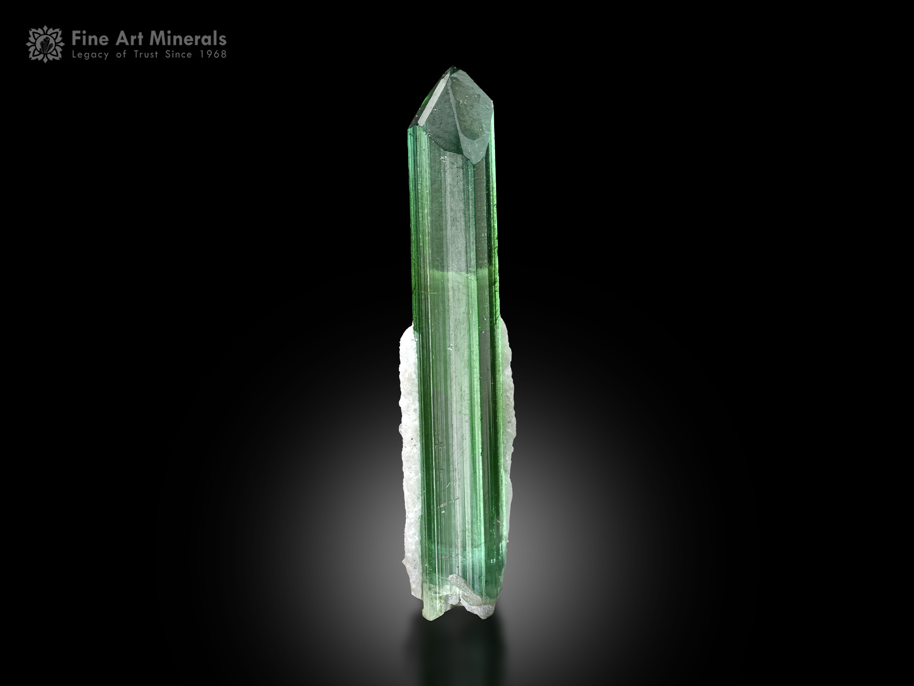Tourmaline with Apatite from Afghanistan
