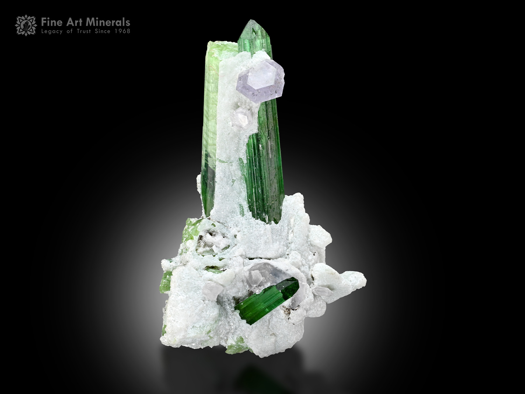 Tourmaline with Apatite from Afghanistan