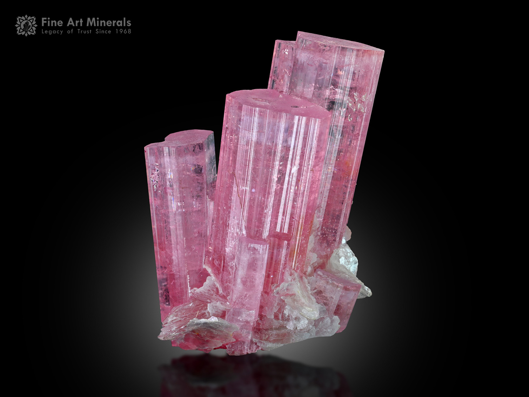 Tourmaline with Mica and Albite from Afghanistan