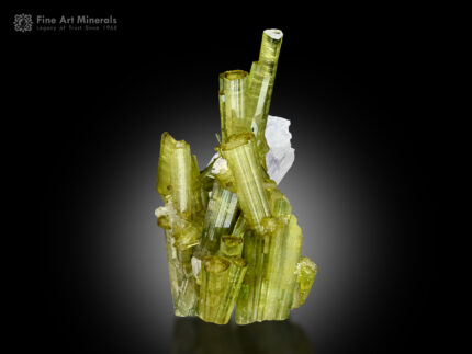 Tourmaline with Vitaniemiite from Pakistan