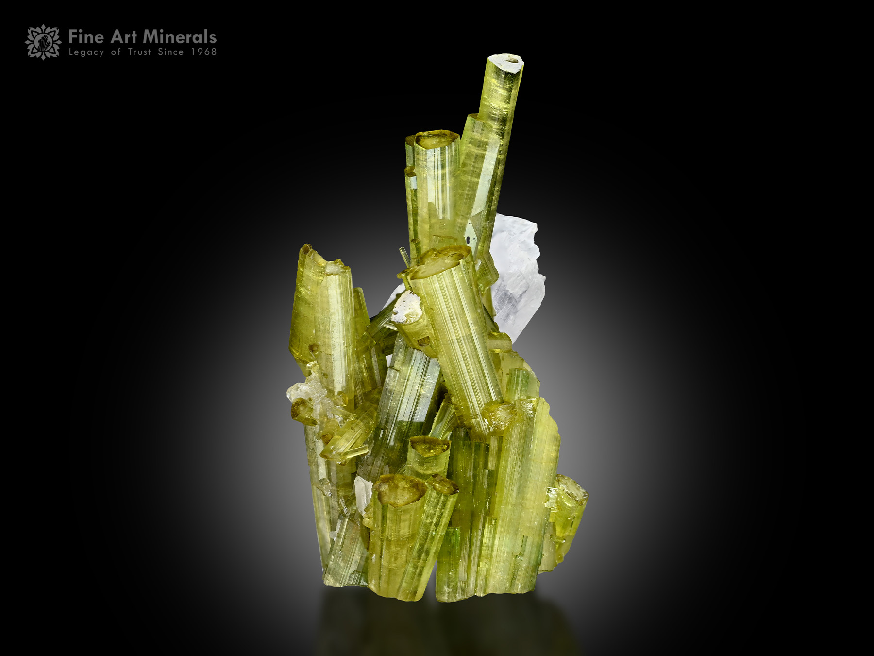 Tourmaline with Vitaniemiite from Pakistan